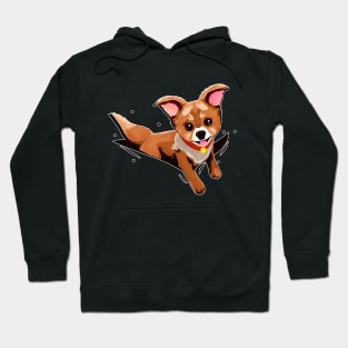 Cutest puppy Hoodie